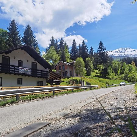 ホテル Casa Pietrosu Rodnei Borşa エクステリア 写真