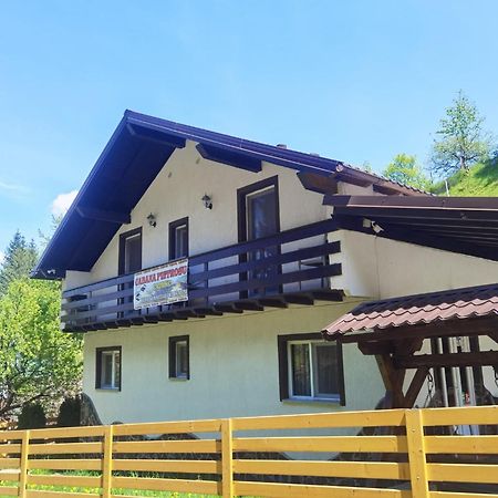 ホテル Casa Pietrosu Rodnei Borşa エクステリア 写真