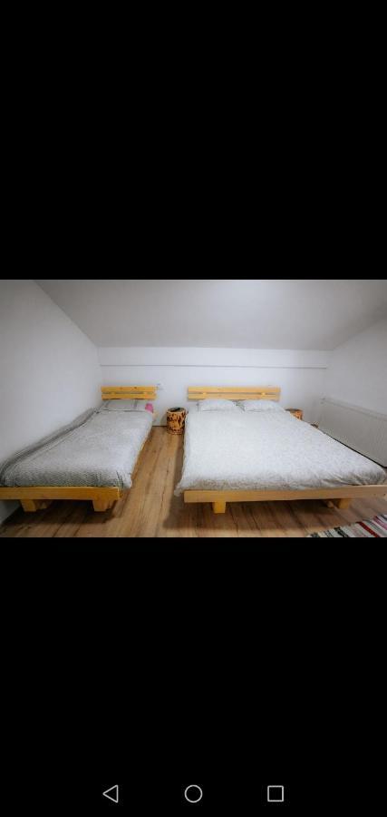 ホテル Casa Pietrosu Rodnei Borşa エクステリア 写真