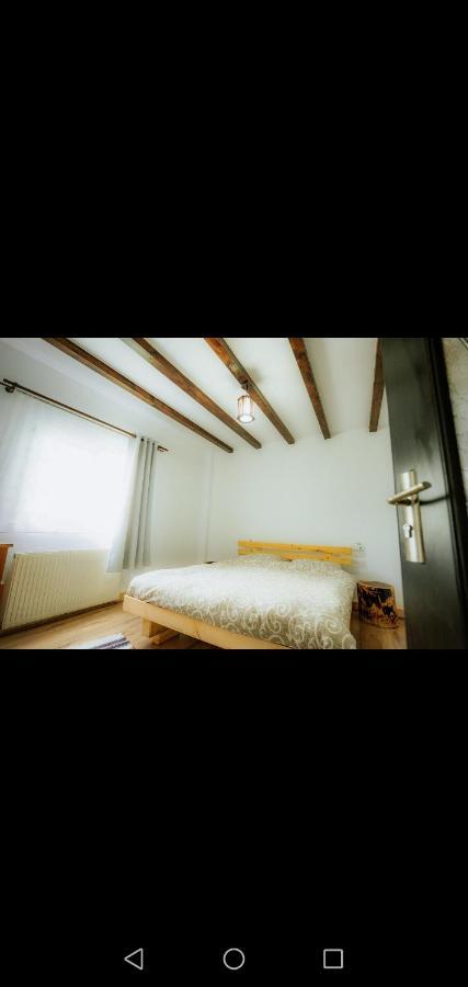 ホテル Casa Pietrosu Rodnei Borşa エクステリア 写真