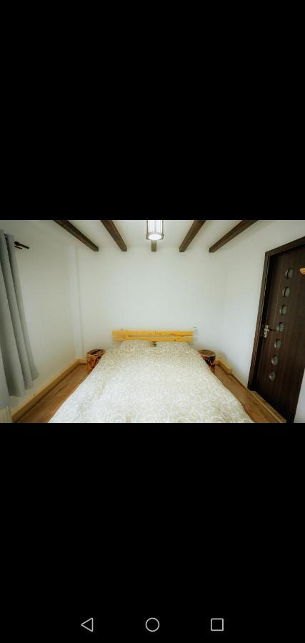 ホテル Casa Pietrosu Rodnei Borşa エクステリア 写真