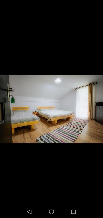 ホテル Casa Pietrosu Rodnei Borşa エクステリア 写真