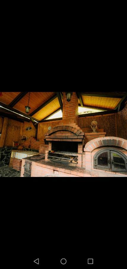 ホテル Casa Pietrosu Rodnei Borşa エクステリア 写真