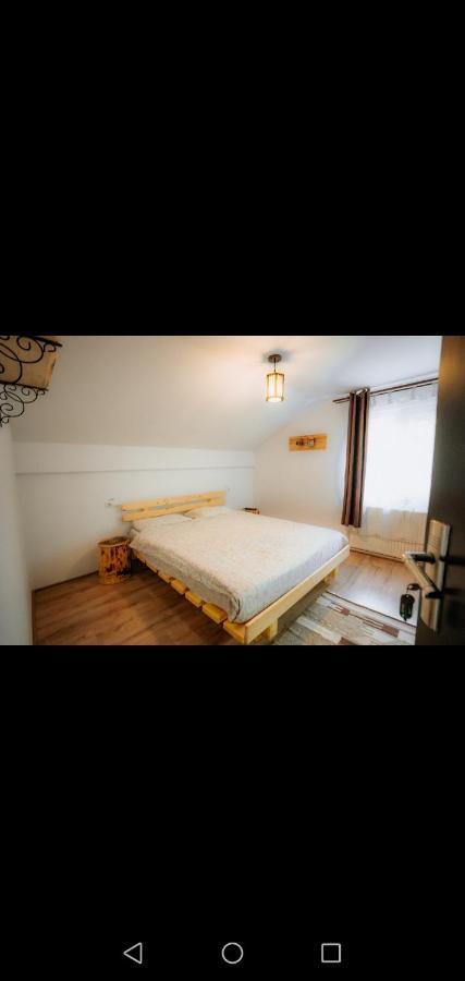 ホテル Casa Pietrosu Rodnei Borşa エクステリア 写真