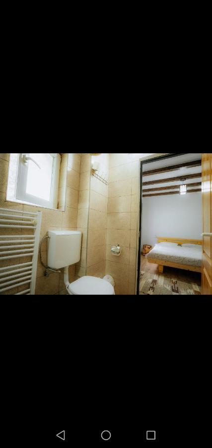 ホテル Casa Pietrosu Rodnei Borşa エクステリア 写真