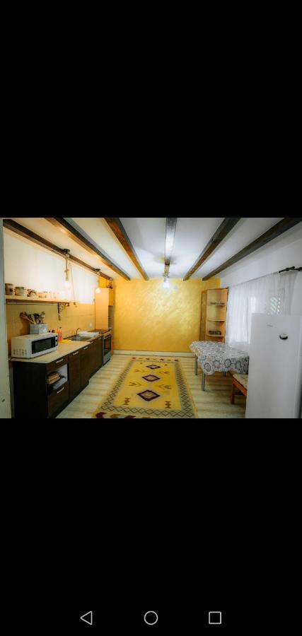 ホテル Casa Pietrosu Rodnei Borşa エクステリア 写真