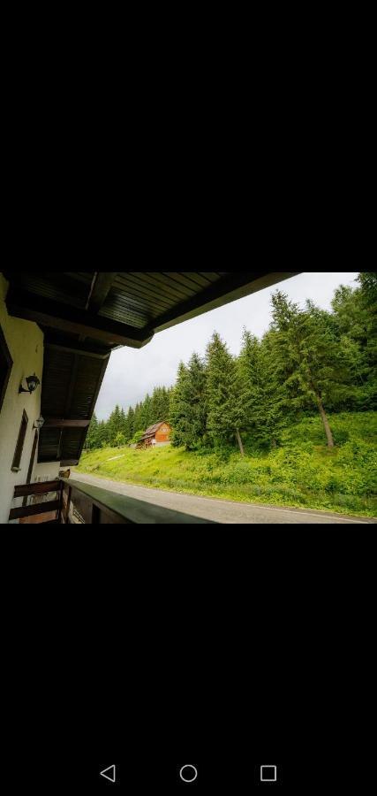 ホテル Casa Pietrosu Rodnei Borşa エクステリア 写真
