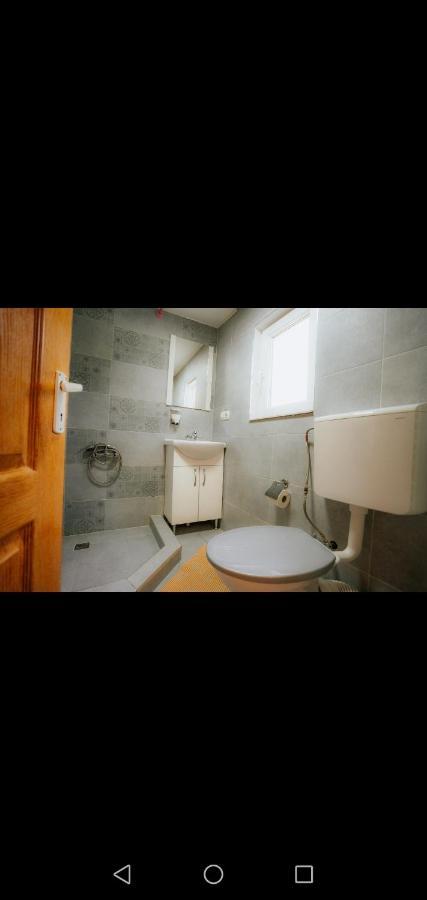 ホテル Casa Pietrosu Rodnei Borşa エクステリア 写真
