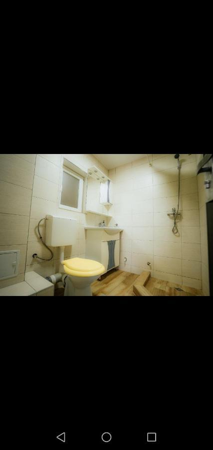 ホテル Casa Pietrosu Rodnei Borşa エクステリア 写真