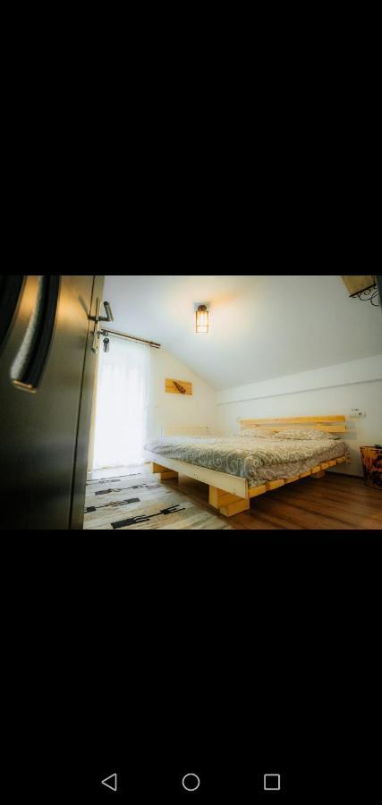ホテル Casa Pietrosu Rodnei Borşa エクステリア 写真