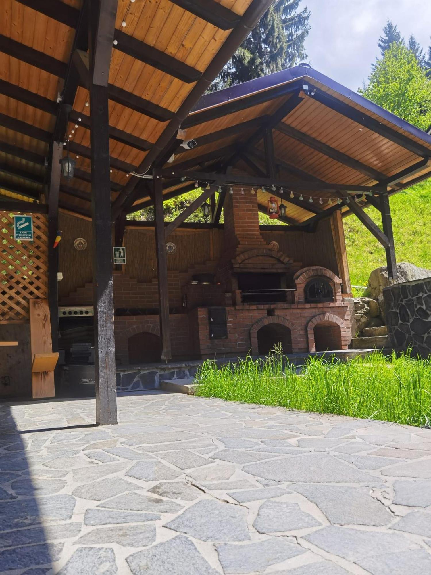 ホテル Casa Pietrosu Rodnei Borşa エクステリア 写真