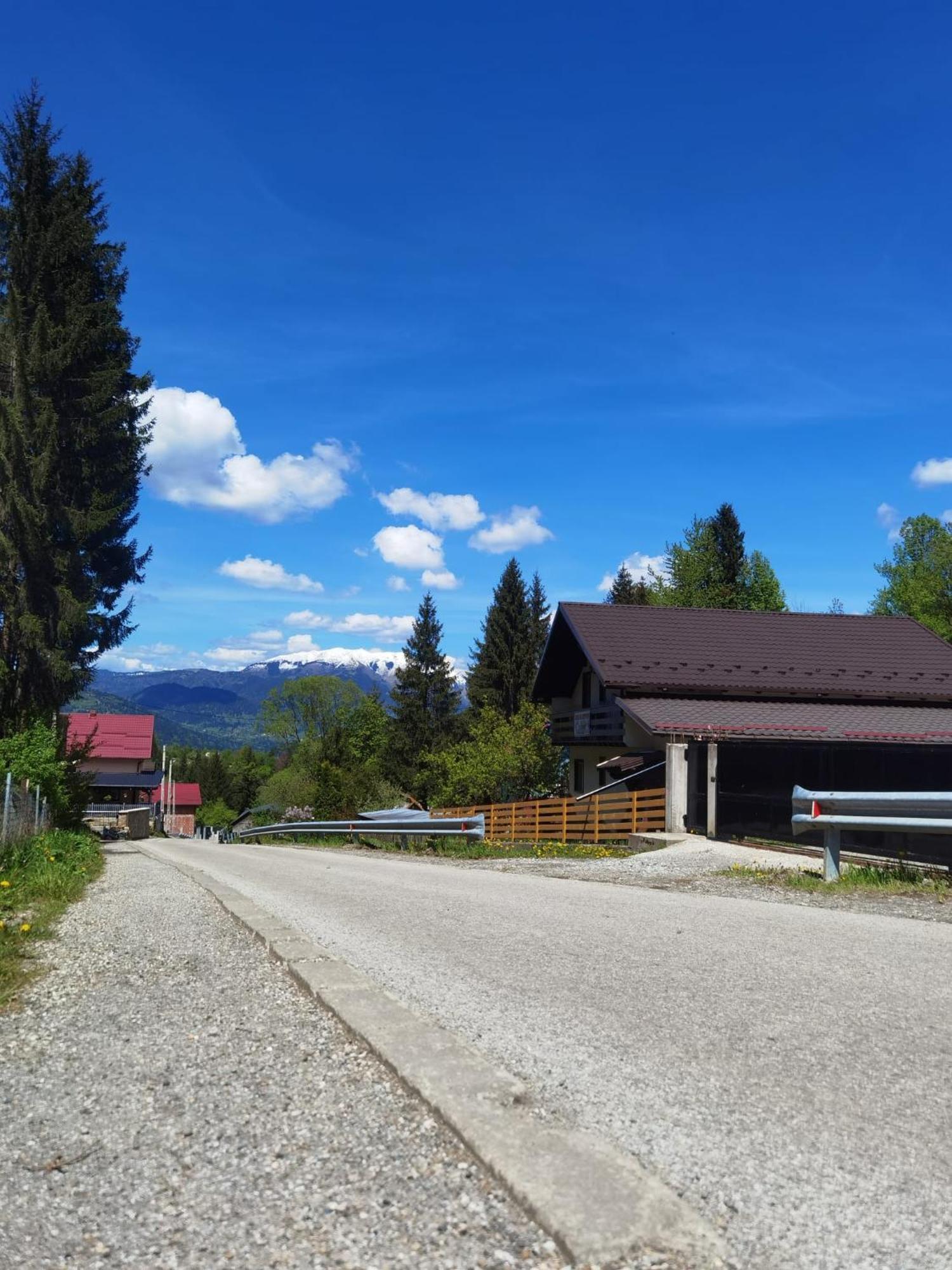 ホテル Casa Pietrosu Rodnei Borşa エクステリア 写真